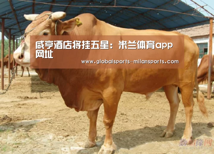 米兰体育app官网
