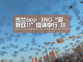 米兰app-SNG“爱狮双11”圆满举行 水友赛惊喜豪礼回馈粉丝(图1) 米兰体育app官网