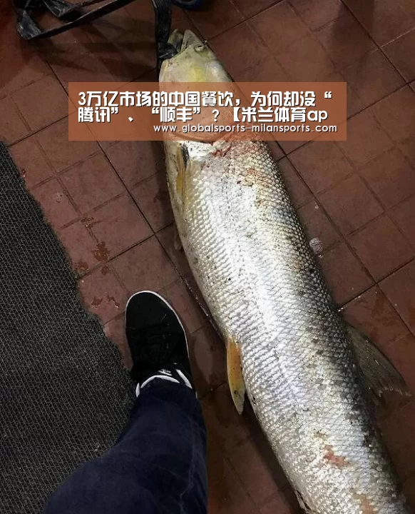 米兰体育app下载